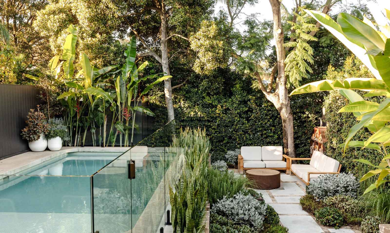 Garden and pool design by The Balcony Garden
